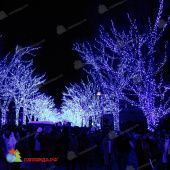 Гирлянда на деревья, спайдер, Луч 2, 2х25м., 50м., 500 LED, 220/24B., холодный белый, без мерцания, прозрачный ПВХ провод. 05-1906