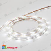Светодиодная Лента LTC Герметичная Белая 220В, SMD2835, 24LED/м, 6000К, IP65, Бухта 100м 04-5397