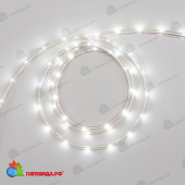 Светодиодная Лента LTC Герметичная Белая 24В, SMD2835, 24LED/м, 6000К, IP65 04-5395