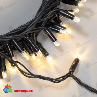 Гирлянда Нить 10м Тепло-Белая 24В, 100 LED, провод Черный Каучук 2,3мм, IP65 04-5325