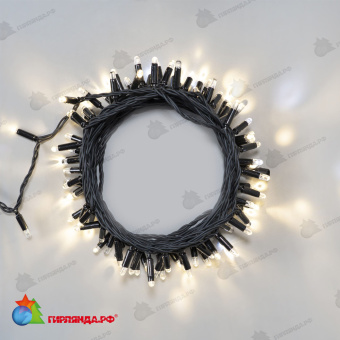 Гирлянда Нить 10м Тепло-Белая с Мерцанием Белого Диода 220В, 100 LED, провод Черный Каучук 2,3мм, IP65 04-5334