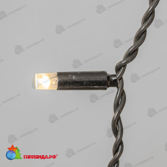 Гирлянда Занавес Облегченный c Колпачком 2 x 1 м Тепло-Белый 220В, 200 LED, провод Черный Каучук 2,3мм, IP65 04-5353