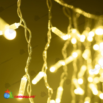 Гирлянда Бахрома с Колпачком 3,1 x 0,5 м Шампань, 120 LED, провод Прозрачный ПВХ, IP65 04-5368
