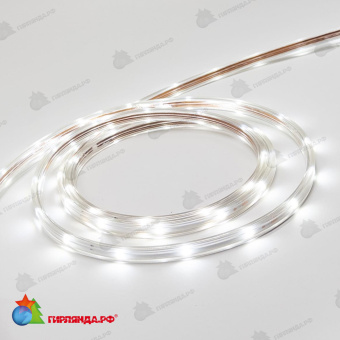 Светодиодная Лента LTC Герметичная Белая 24В, SMD2835, 24LED/м, 6000К, IP65 04-5395