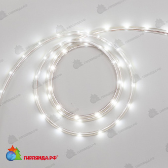 Светодиодная Лента LTC Герметичная Белая 24В, SMD2835, 24LED/м, 6000К, IP65 04-5395
