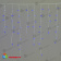 Гирлянда Бахрома 3,2 x 0,9 м Синяя с Мерцанием Белого Диода 220В, 168 LED, провод Белый К 04-5321