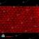 Светодиодная сетка, 2х3м., красный, чейзинг, черный провод (пвх). 11-2127