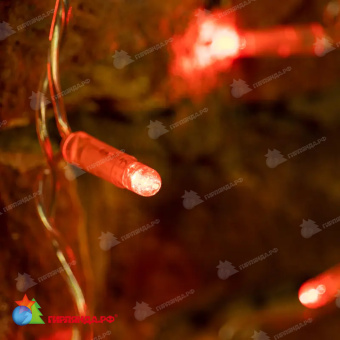 Гирлянда светодиодная Занавес 2x0,8м 160 Led Красный прозрачный пвх IP65 постоянное свечение 230В блок в комплекте 14-2002