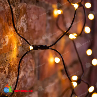 Гирлянда светодиодная Сеть 1х1,5м 160 Led Теплый Белый черный пвх IP65 свечение с динамикой 230В блок в комплекте 14-2201