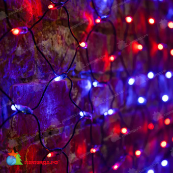 Гирлянда светодиодная Сеть 2,5х2,5м 432 Led Красный/Синий черный пвх IP65 свечение с динамикой 230В контроллер в комплекте 14-2210