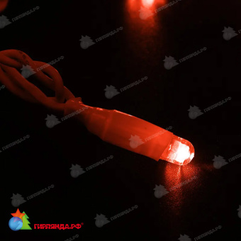 Гирлянда светодиодная Нить (2 модуля x 5м) 100 Led Красный белый пвх IP65 эффект мерцания 24В 14-2286