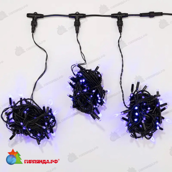 Гирлянда Led ClipLight 24V, 3 нити по 10 метров, цвет диодов Синий 14-2368