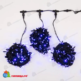 Гирлянда Led ClipLight 24V, 3 нити по 20 м, свечение с динамикой, цвет диодов Синий 14-2374