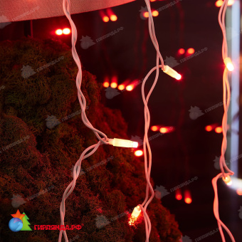 Гирлянда светодиодный занавес 3х2 м., 240 LED, красный, с мерцанием, белый резиновый провод (Каучук), с защитным колпачком. 10-3723.