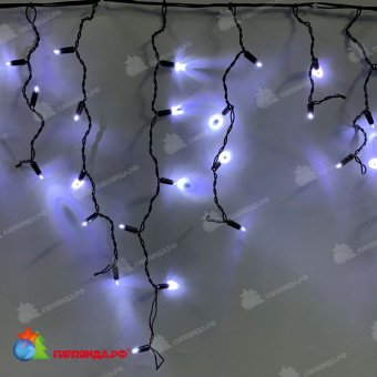 Гирлянда Бахрома, 2х0.6м., 80 LED, холодный белый, без мерцания, черный ПВХ провод с защитным колпачком. 13-1238