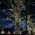 Гирлянда на деревья, спайдер, Луч 2, 2х25м., 50м., 500 LED, 220/24B., теплый белый, без мерцания, прозрачный ПВХ провод. 05-1907