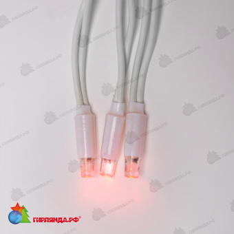 Гирлянда светодиодный занавес 3х2 м., 240 LED, красный, без мерцания, белый резиновый провод (Каучук), с защитным колпачком. 10-3718.
