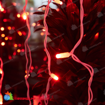 Гирлянда светодиодный занавес 3х2 м., 240 LED, красный, с мерцанием, белый резиновый провод (Каучук), с защитным колпачком. 10-3723.