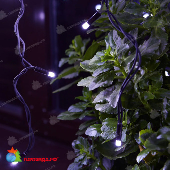 Гирлянда светодиодный занавес 3х2 м., 240 LED, холодный белый, с мерцанием, черный резиновый провод (Каучук), с защитным колпачком. 10-3717.