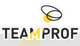 Светодиодные гирлянды TEAMPROFF – новогодние украшения и уличные гирлянды с доставкой по отличной цене!