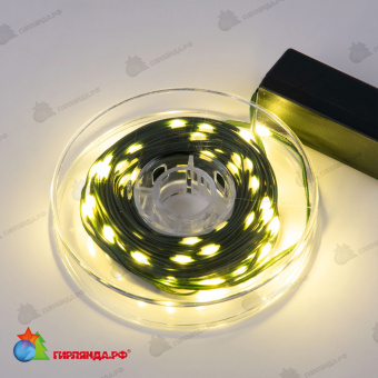Гирлянда светодиодная "Полоса", 10м. 100 LED. Теплый белый свет. Провод зеленый. 10-3615