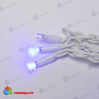 Гирлянда светодиодный занавес 3х2 м., 240 LED, синий, с мерцанием, белый резиновый провод (Каучук), с защитным колпачком. 10-3720.