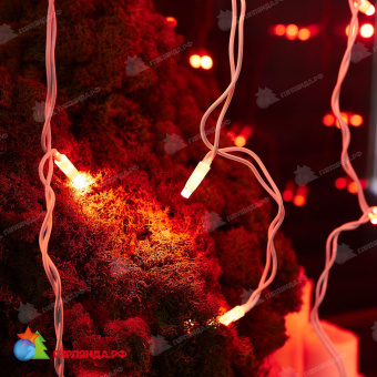 Гирлянда светодиодный занавес 3х2 м., 240 LED, красный, без мерцания, белый резиновый провод (Каучук), с защитным колпачком. 10-3718.