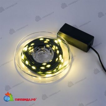 Гирлянда светодиодная "Полоса", 10м. 100 LED. Теплый белый свет. Провод зеленый. 10-3615