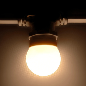 Светодиодная лампа для белт-лайт, d=45 мм., E27, 2Вт, теплый белый. 16-1162