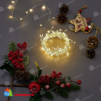 Гирлянда светодиодная "Роса", 10м. 250 LED. Теплый белый свет. Провод прозрачный. 10-3620