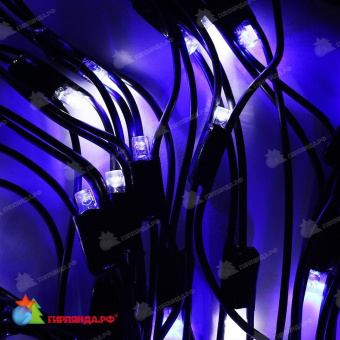 Светодиодная сетка 2х1.5 м., 288 LED, бело-синий, без мерцания, черный резиновый провод (Каучук), с защитным колпачком. 10-3709.