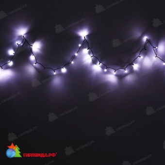 Гирлянда Нить 10 м., 100 LED, холодный белый, с мерцанием Холодный Белый, с защитным колпачком, черный ПВХ провод, 24В. 04-3457