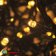 Гирлянда на деревья, спайдер, Луч, 3х20, 60м, 600 LED, 24B, теплый белый, с мерцанием, черный ПВХ провод. 06-3093