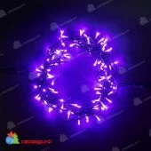 Гирлянда Нить, 10м., 100 LED, Пурпурный, без мерцания, черный провод (пвх). 04-4300